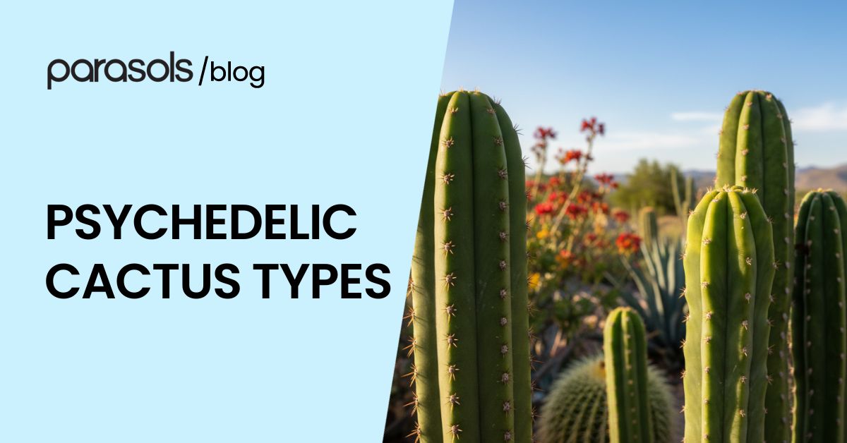 psychedelic cactus types featured image