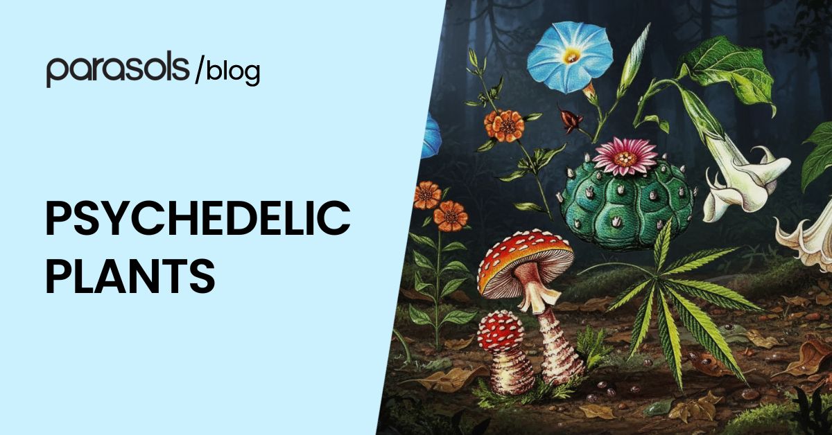 psychedelic plants featured image