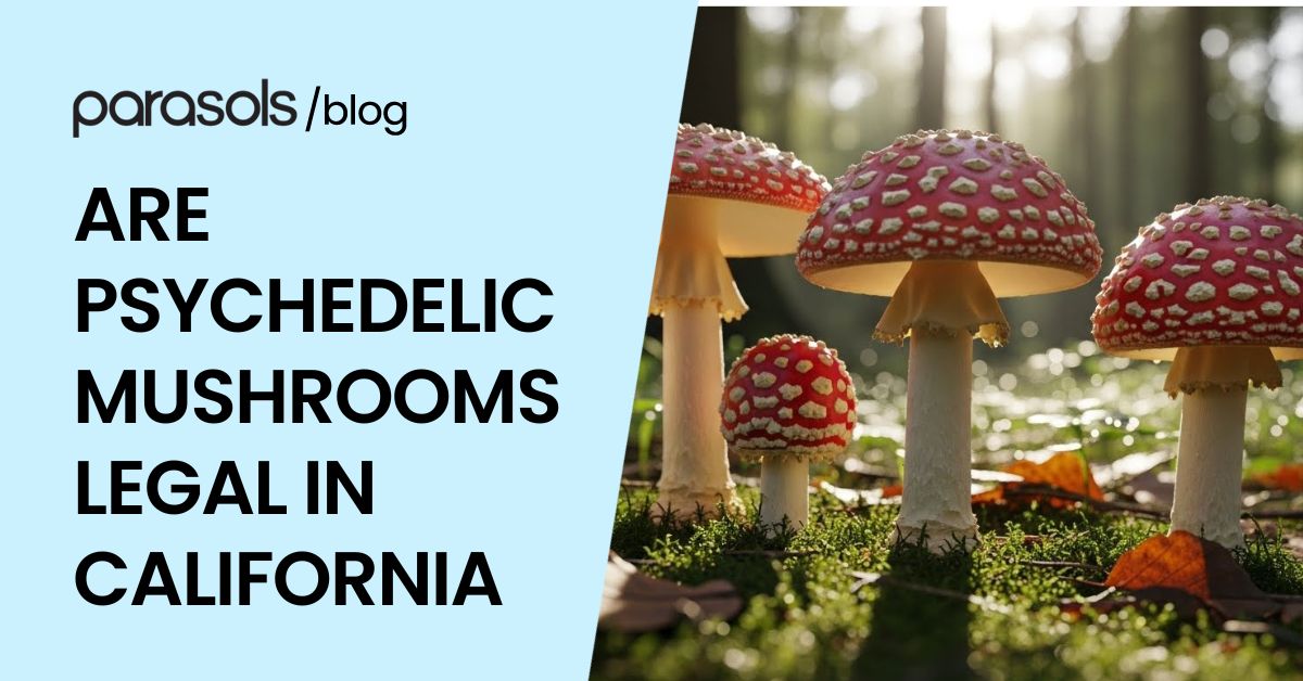 are psychedelic mushrooms legal in california featured image