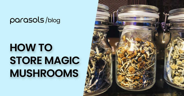 How to Store Magic Mushrooms: Your Guide to The Perfect Finished Product