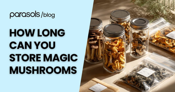 How Long Can You Store Magic Mushrooms? 6 Storage Tips
