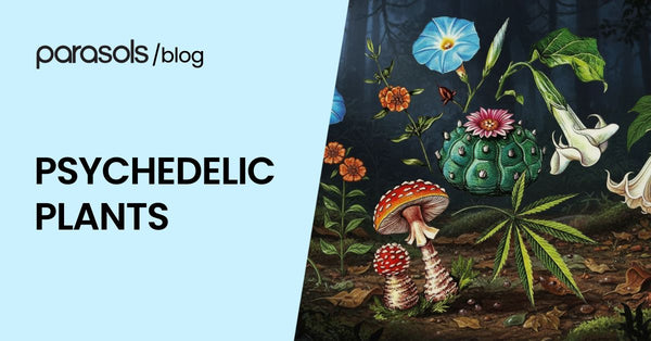 Psychedelic Plants: 5 Safe and Legal Options